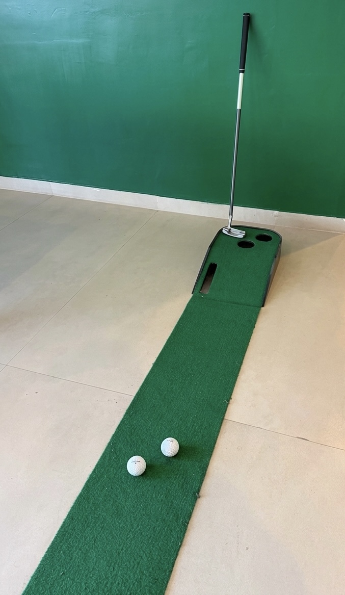Mini Golf Putting Green